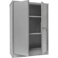 Armoire de rangement &agrave; hauteur de comptoir, Acier, 2 Tablettes, 42" h x 30" la x 15" P, Gris Stor-it Systems