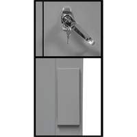 Armoire de rangement &agrave; hauteur de comptoir, Acier, 2 Tablettes, 42" h x 30" la x 15" P, Gris Stor-it Systems