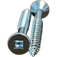 Flat SOC Wood Screws, #10 x 2" L, Zinc Plated Stor-it Systems