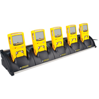 BW GasAlertMicroClip XT Multi-Gas Detectors -Five Unit Cradle Charger Stor-it Systems