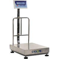 Cyclone 300 Bench and Platform Scale, 600 lbs. / 300 kg Capacity, 17-3/4" L x 23-3/5" W Stor-it Systems