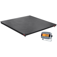 Defender™ 3000 Floor Scale, 5000 lbs. Capacity, 4" L x 4" W ID037 | Stor-it Systems
