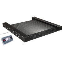 Defender 2500 Drum Scale, 500 lbs. Capacity, 2.5' L x 2.5' W Stor-it Systems