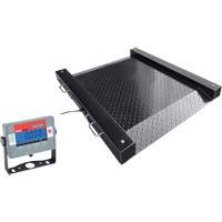 DEFENDER Floor Scale, 1000 lbs. Capacity, 30" L x 30" W Stor-it Systems