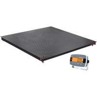 DEFENDER 3000 Floor Scale, 2500 lbs. Capacity, 48" W x 48" L Stor-it Systems