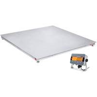 DEFENDER 3000 Floor Scale, 2500 lbs. Capacity, 48" W x 48" L Stor-it Systems