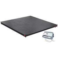 DEFENDER 5000 Floor Scale, 2500 lbs. Capacity, 48" W x 48" L Stor-it Systems
