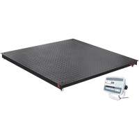 DEFENDER 5000 Floor Scale, 5000 lbs. Capacity, 48" W x 48" L Stor-it Systems