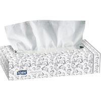 Facial Tissues, 2 Ply, 7.9" L x 8.2" W, 100 Sheets/Box JA730 | Stor-it Systems