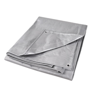 Tarp, Super Heavy-Duty, Silver, 10' x 8' x 12 mils Stor-it Systems