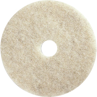 Tampons pour l'entretien des planchers, 21", Brunissage, Brun Stor-it Systems