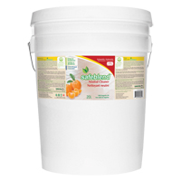 Neutral Cleaner, 20 L, Pail Stor-it Systems