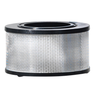 Wet/Dry Vacuum Filter, Hepa, Fits 8 - 11 US gal. Stor-it Systems
