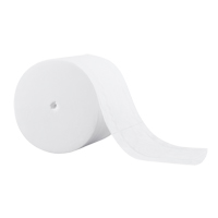 Papier hygi&eacute;nique Scott, Rouleau Sans rouleau central, 2 Pli, 1000 Feuilles/Rouleu, Longueur 333', Blanc Stor-it Systems