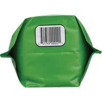 Nettoyant pour les mains biod&eacute;gradable, Poudre, 4,5 lb, Pochette, Sans parfum Stor-it Systems