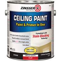 Peinture et appr&ecirc;t pour plafond en un seul produit, Blanc, Tr&egrave;s mat, 3,78 L, Gallon Stor-it Systems