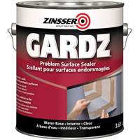 Scellant de surface &agrave; probl&egrave;mes Gardz, 916 ml, Canette, Transparent Stor-it Systems