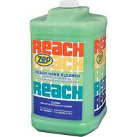 Reach Extra Heavy-Duty Hand Cleaner, Pumice, 3.78 L, Jug, Scented JL659 | Stor-it Systems