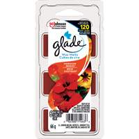 Cubes de cire parfum&eacute;e Glade, Brise exotique Stor-it Systems