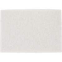 Tampon pour planchers TopLine Speed, 14" x 20", Lustrage/Nettoyage/Polissage, Blanc Stor-it Systems