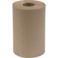 Everest Pro™ Paper Towel Rolls, 1 Ply, Standard, 300' L JO043 | Stor-it Systems