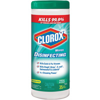 Disinfecting Wipes, 35 Count JO236 | Stor-it Systems