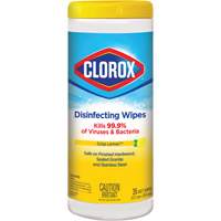Disinfecting Wipes, 35 Count JO323 | Stor-it Systems