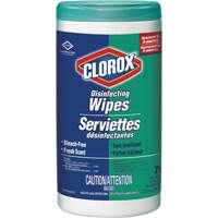 Disinfecting Wipes, 75 Count JO240 | Stor-it Systems