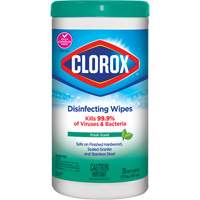 Disinfecting Wipes, 75 Count JO324 | Stor-it Systems