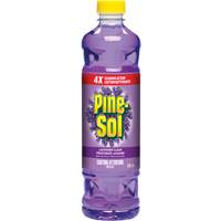 Pine-Sol<sup>®</sup> Multi-Surface Cleaner, Bottle JP201 | Stor-it Systems