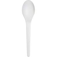 Plantware Renewable and Compostable Spoon Stor-it Systems