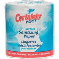 Surface Sanitizing Wipes, Packet JQ116 | Stor-it Systems