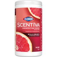 Lingettes d&eacute;sinfectantes, 75 lingettes Stor-it Systems