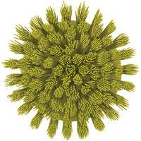 Brosse ronde HyDrive pour perceuse, Soies Tr&egrave;s ferme, Longueur de 3-1/10", Jaune Stor-it Systems