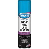 Brillant instantan&eacute; Pro Line pour surfaces en plastique, 11 oz, Canette a&eacute;rosol Stor-it Systems