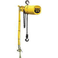 Budgit<sup>®</sup> Series 6000 Air Hoists LS926 | Stor-it Systems