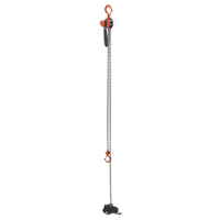 Mini Lever Hoist, 15' Lift, 500 lbs. (0.25 tons) Capacity, Steel Chain Stor-it Systems
