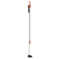 Mini Lever Hoist, 15' Lift, 500 lbs. (0.25 tons) Capacity, Steel Chain Stor-it Systems