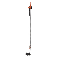 Mini Lever Hoist, 15' Lift, 1000 lbs. (0.5 tons) Capacity, Steel Chain Stor-it Systems