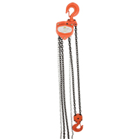 Chain Hoist, 20' Lift, 4000 lbs. (2 tons) Capacity, Alloy Steel Chain LU583 | Stor-it Systems