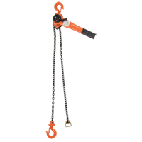 Lever Chain Hoist, 10' Lift, 1000 lbs. (0.5 tons) Capacity, Alloy Steel Chain Stor-it Systems