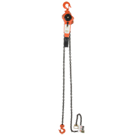Palan &agrave; levier, Lev&eacute;e 5', Cabacit&eacute; 3000 lb (1,5 tonne), Chaîne en Acier alli&eacute; Stor-it Systems