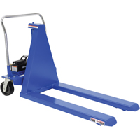 Electric Skid Lift, Steel, 2500 lbs. Capacity LV542 | Stor-it Systems