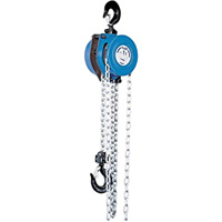 Tralift<sup>®</sup> Manual Chain Hoist, 10' Lift, 4000 lbs. (2 tons) Capacity, Grade 80 Chain LW443 | Stor-it Systems