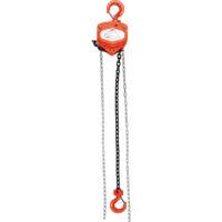 Chain Hoist, 10' Lift, 10000 lbs. (5 tons) Capacity, Alloy Steel Chain Stor-it Systems