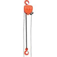 Chain Hoist, 10' Lift, 10000 lbs. (5 tons) Capacity, Alloy Steel Chain Stor-it Systems