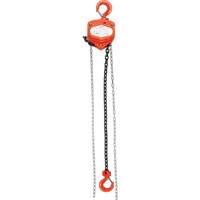 Chain Hoist, 20' Lift, 1000 lbs. (0.45 tons) Capacity, Alloy Steel Chain Stor-it Systems