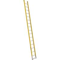 Single Section Straight Ladder - 6100 Series, 16', Fibreglass, 375 lbs., CSA Grade 1AA Stor-it Systems
