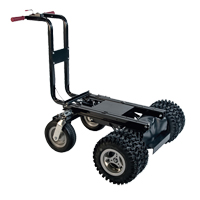 Motorized Tilt Truck, 27 pi³ Capacity, 51" H x 81" W x 33" D Stor-it Systems