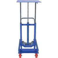 Lift Table, 30"L x 24"W, Steel, 2000 lbs. Capacity Stor-it Systems
